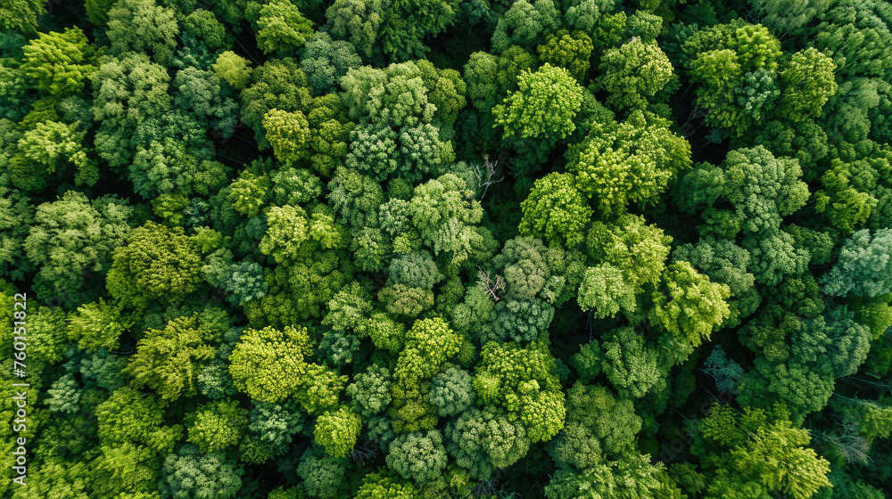 Naklejka premium Carbon Sequestration Illustration Aerial View, news, illustration, image, article, newspaper