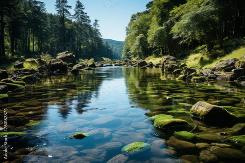 A serene watercourse flows through a forest, surrounded by trees and rocks © yuchen