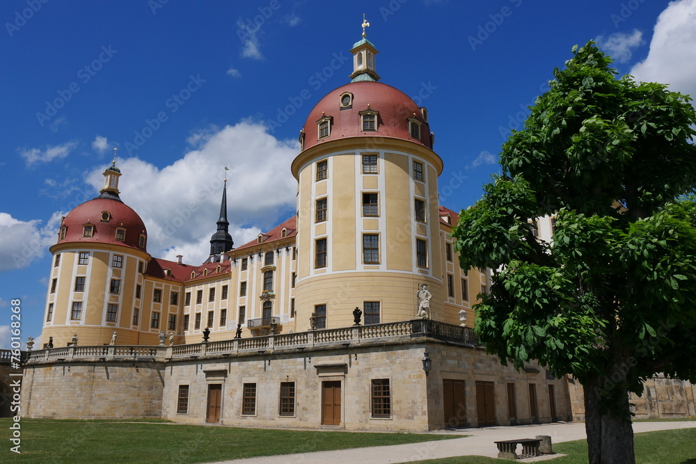 Obraz premium Schloss Moritzburg in Sachsen