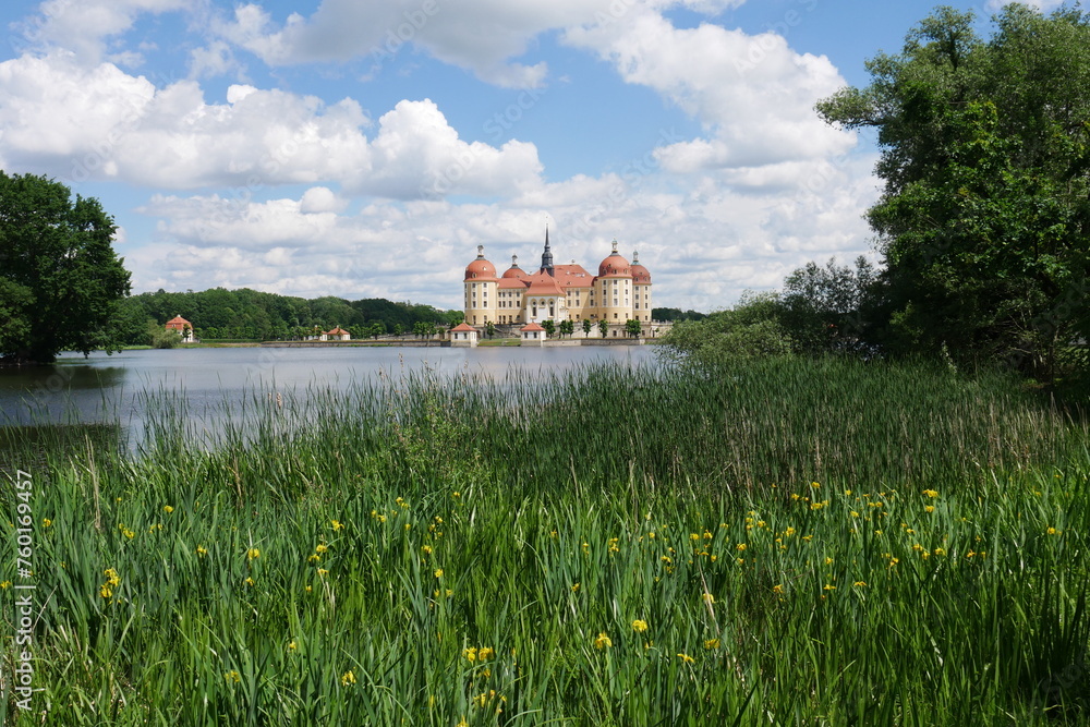 Schlossteich in Moritzburg mit Blick auf Schloss Moritzburg in Sachsen