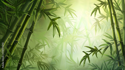 Bamboo forest background  bamboo wallpaper  forest background  nature background