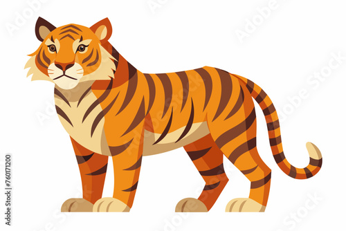 Tiger  flat style  vector illustration artwork  