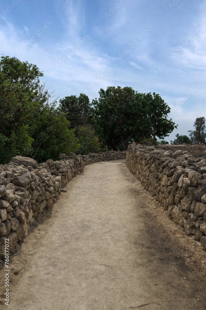 The road with stone walls on both sides and trees growing behind it. The road with stone walls on both sides and trees growing behind it.