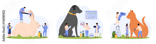 Veterinary examination set. Tiny people check rabbits ears with otoscope, sick cats temperature with digital thermometer, veterinarians give vaccine injection to dog cartoon vector illustration