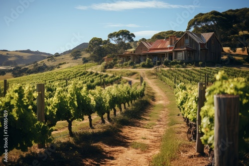 Vineyard with house, dirt road, under blue sky in natural landscape