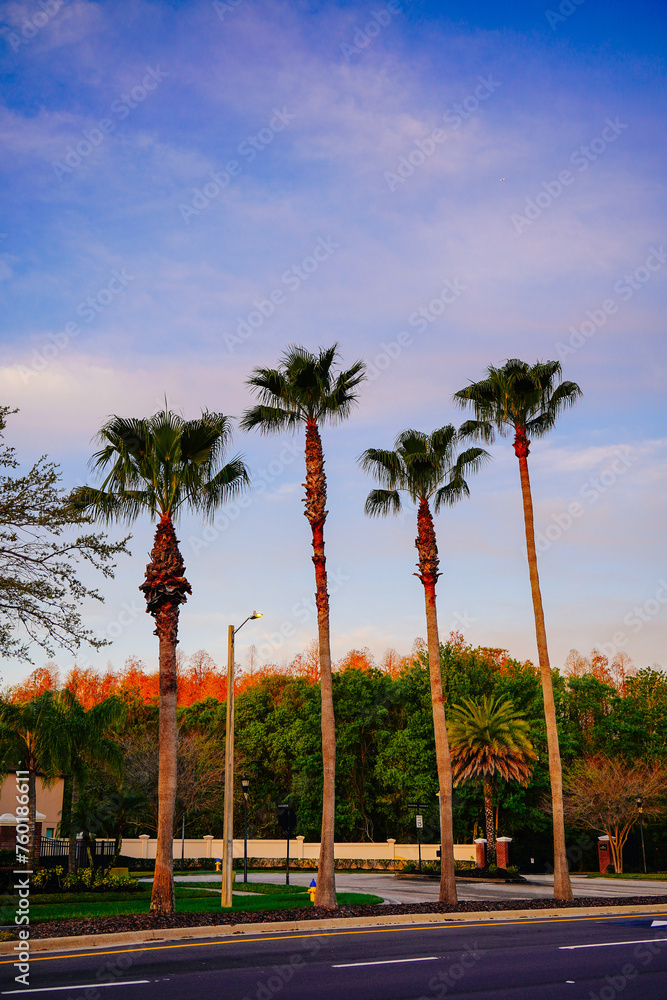 Fototapeta premium beautiful florida community sun rise