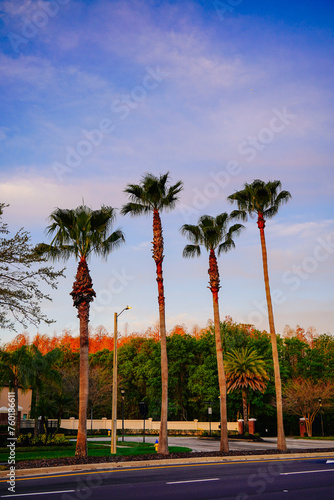 beautiful florida community sun rise © Feng