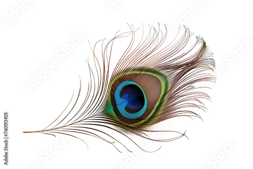 Realistic Peacock Feather Isolated on a Transparent Background.