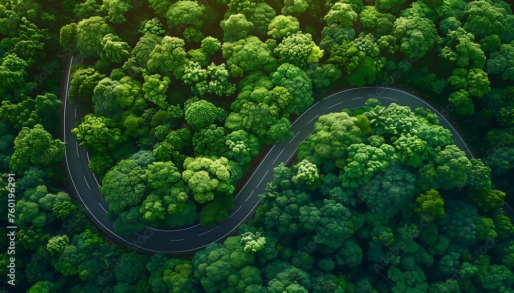 Highway Carbon Capture, Aerial View of Forested CO2 Absorption for Sustainable Net Zero Emissions and Carbon Credit Highway Carbon Capture, Aerial View of Forested CO2 Absorption for Sustainable Net Zero Emissions and Carbon Credit
