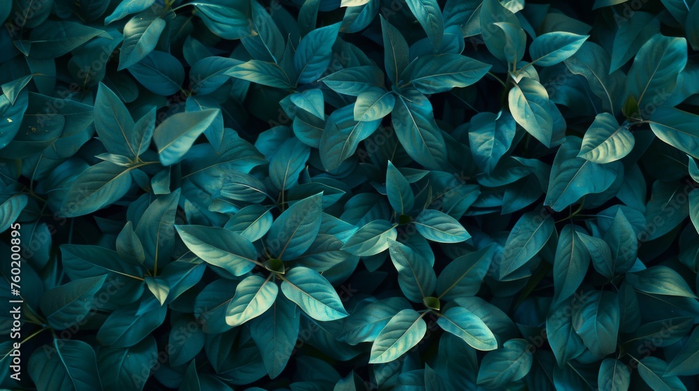 A captivating photo showcasing a background of lush leaves, embodying aesthetic minimalism. The wallpaper features a palette of dark sage colors, offering a serene and sophisticated vibe. - obrazy, fototapety, plakaty 