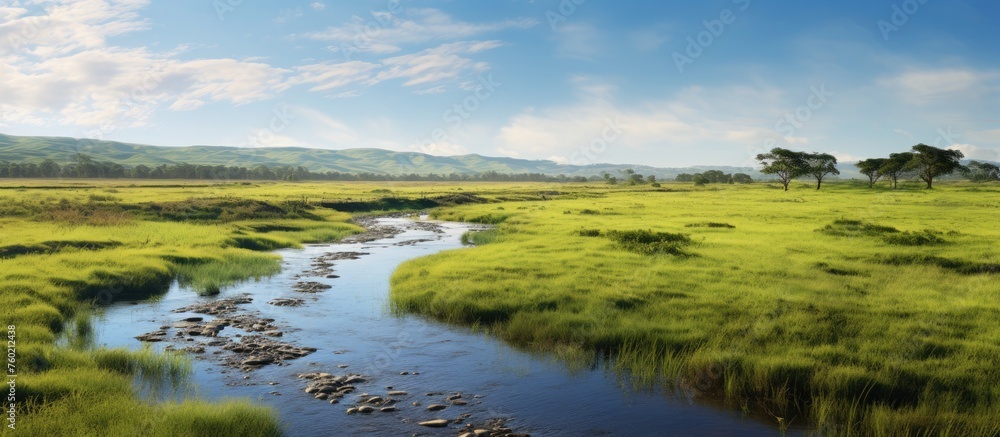 Tranquil Stream Meandering Through Vibrant Verdant Landscape with Lush Grass and Wildflowers