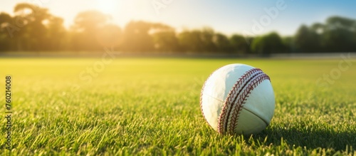 Vibrant Baseball Ball Resting on Lush Green Grass on a Sunny Sports Field