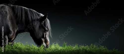 Beautiful Mare Grazing Peacefully on Lush Green Pasture with Golden Sunlight