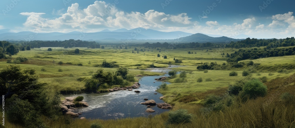 Tranquil River Flowing Through Lush Verdant Meadow Surrounded by Tall Trees