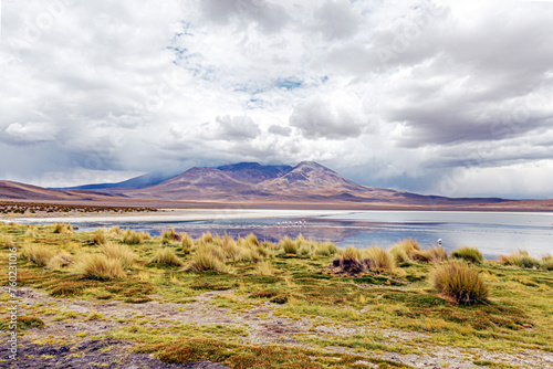 Majestic Reflections: Mountains, Lakes, and Flamingos in the Atacama