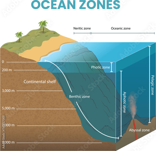 cross section illustration of ocean zones diagram photo