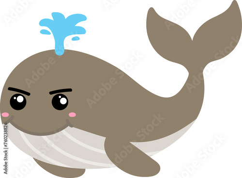 cute whale cartoon  sea animal 