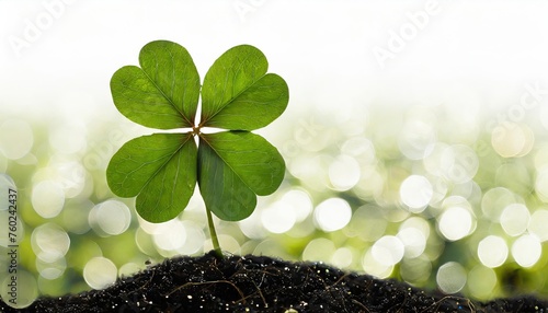 Single Four-Leaf Clover on Soil with Bokeh Background photo