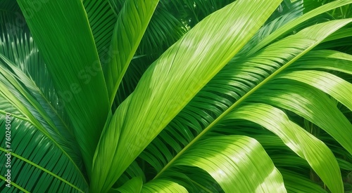 A lush, vibrant palm leaf stands out against a stark white background. The leaf radiates tropical green hues, a symbol of freshness and vitality.