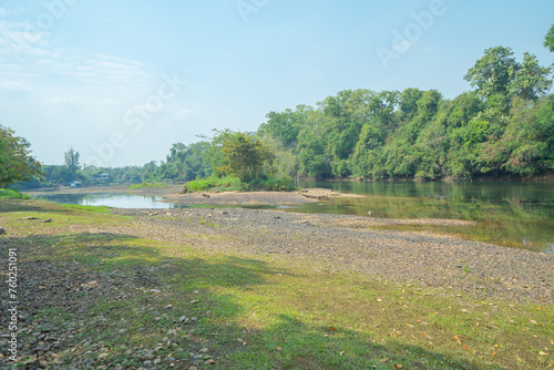 Tree in plantation with lake or river. Way through garden park in summer season. Nature landscape background.