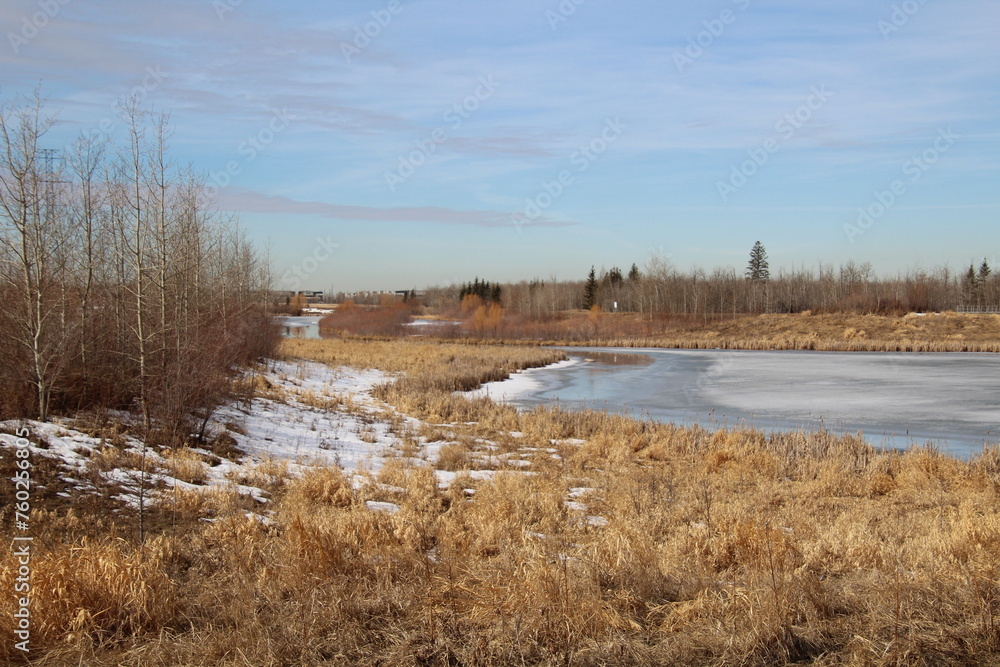 Melting Wetlands, Pylypow Wetlands, Edmonton, Alberta