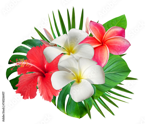 Tropical summer bouquet with frangipani flowers and hibiscus flower isolated on trandparent background. Hawaiian style floral arrangement