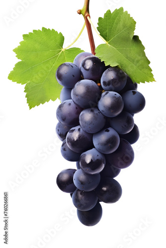 Dark blue grape with leaves isolated on white background. With clipping path. Full depth of field.