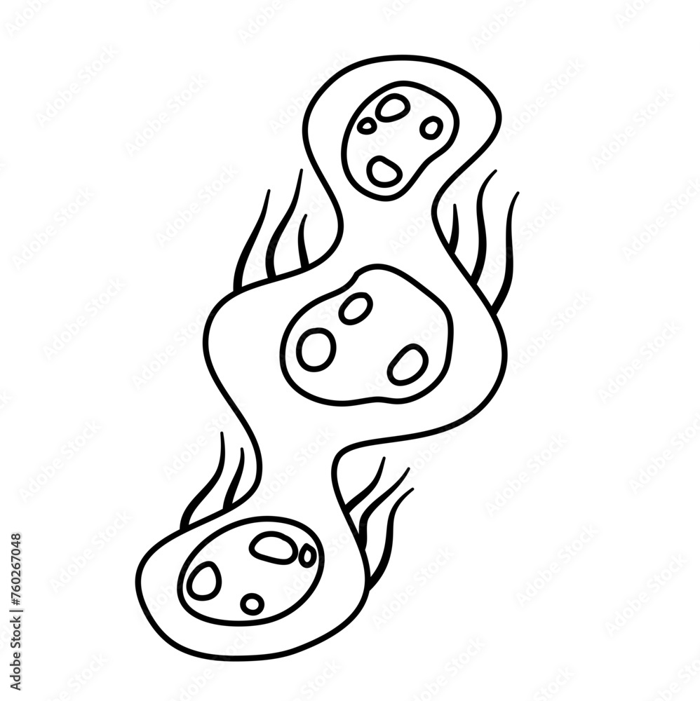 Fototapeta premium Outline Microorganism Bacteria Vector Design
