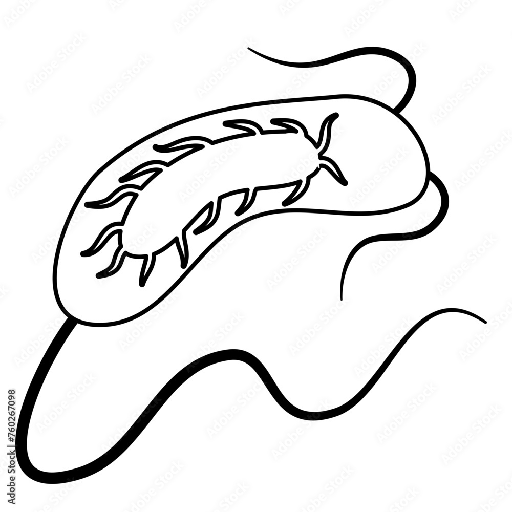 Outline Microorganism Bacteria Vector Design Outline Microorganism Bacteria Vector Design