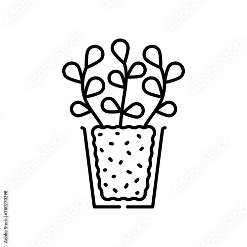 Seedling line icon. Young greenery vegetables seedlings in a biodegradable pot. Linear illustration  editable stroke.