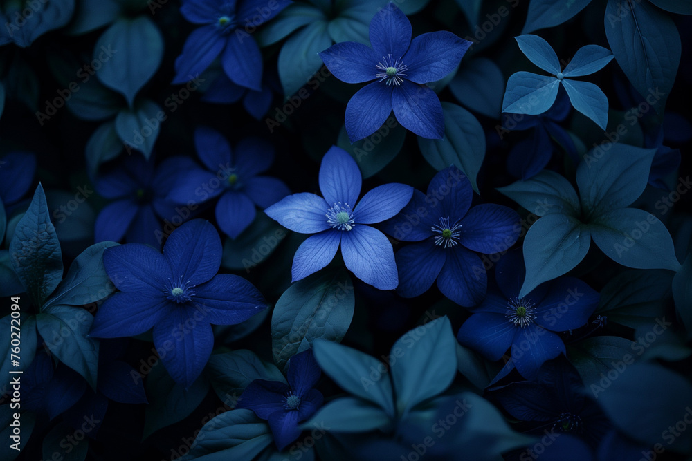 Sapphire Blue Blossoms