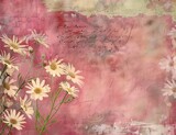 white flowers vase pink background crumpled newspaper texture breathtaking chamomile finding words ink color silk daisies noon spring ancient writing digital banner