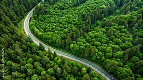 Aerial top view of road winding through dense green forest