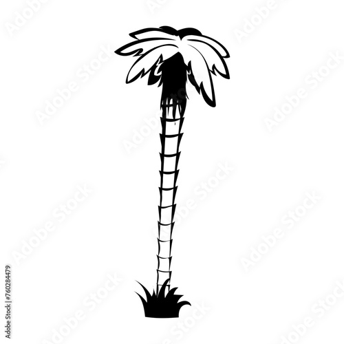 Palme