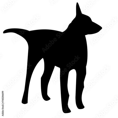 dog pet silhouette