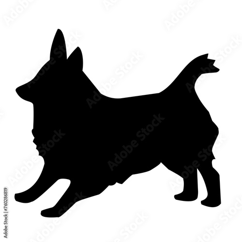 dog pet silhouette