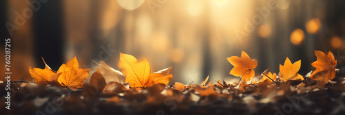 Autumn Background with Golden Autumn Leaves Falling On The Ground