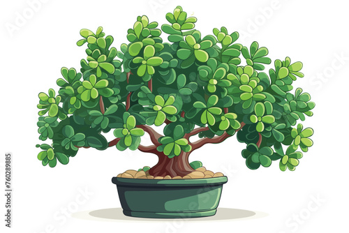 Crassula Ovata commonly Known As Jade Plant Lucky Plant vector illustration. Generative AI