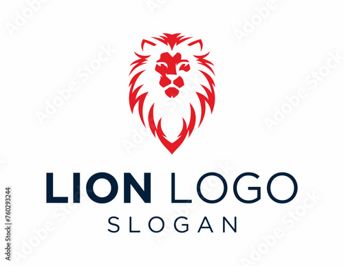 Logo about Lion created using the CorelDraw application. on a white background. photo