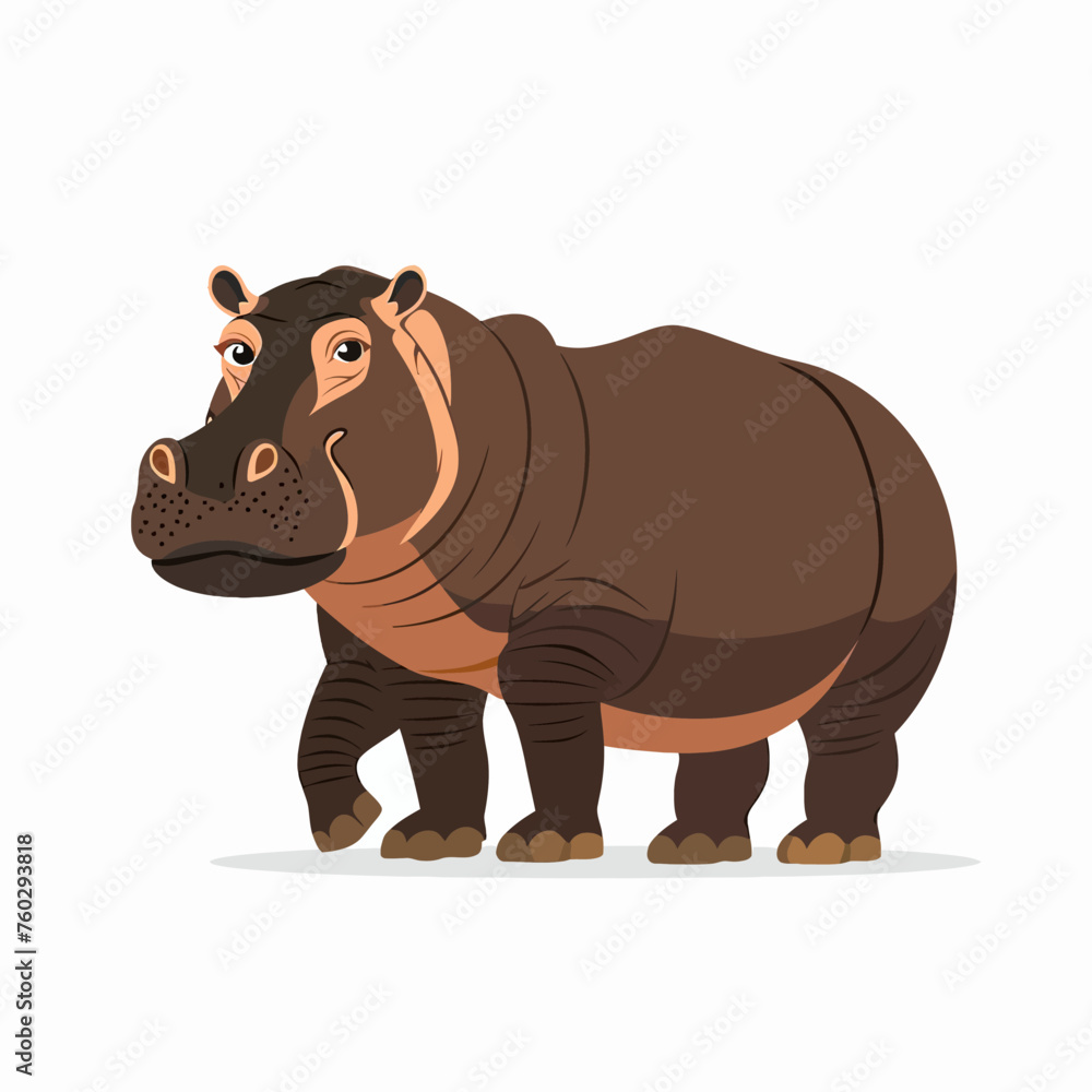 Hippo Illustration Hippo Illustration