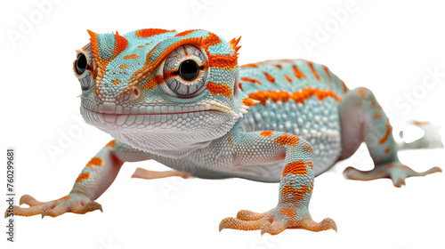 This image captures a vividly colored gecko in great detail against a blank white background, showcasing its intricate patterns and textures