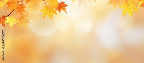 Vibrant Autumnal Aerial Background with Maple Leaves and a Serene Forest Landscape Vector Illustration