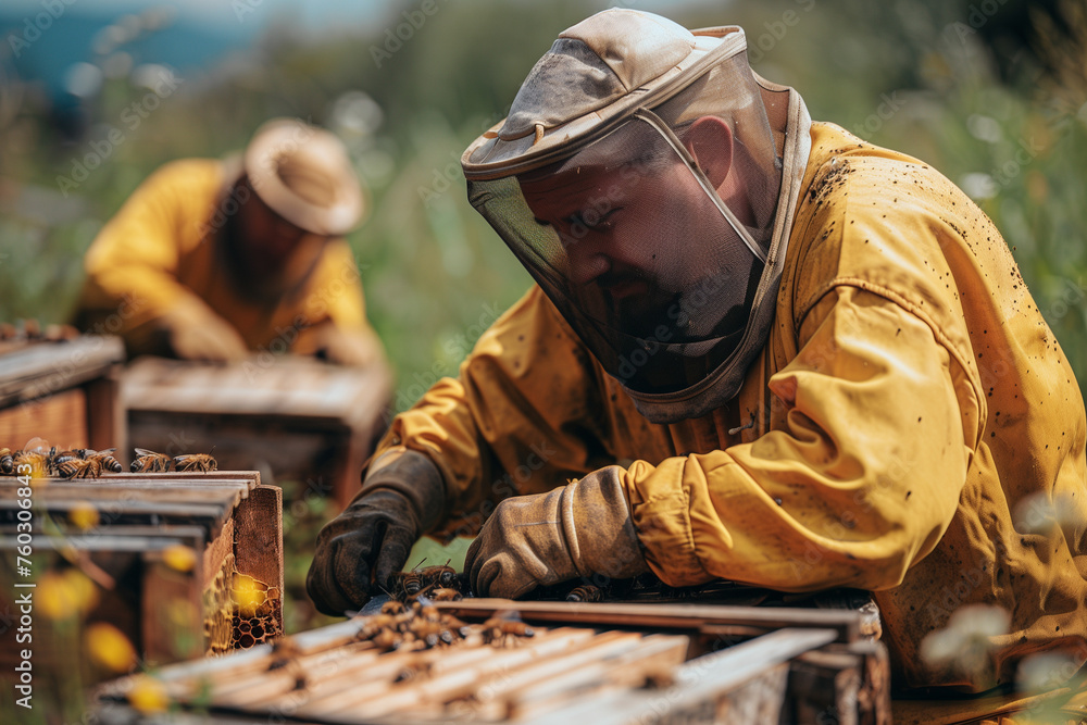 Beekeeping bees and organic honey Beekeeping bees and organic honey