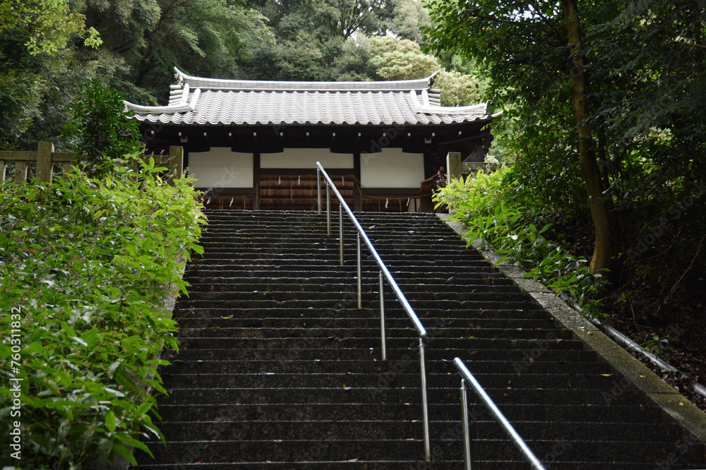 Fototapeta premium 山科神社 参道の石段と神門 京都市山科区西野山