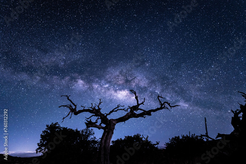 Stargazing at Pu'u Kalepeamoa, Maunakea Visitor Information Station, Big Island, Hawaii. Starry night sky, dead tree with Milky Way galaxy astrophotography. Sophora chrysophylla	 photo