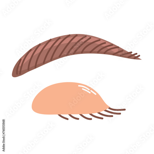 Eyebrow icon clipart avatar isolated vector illustration