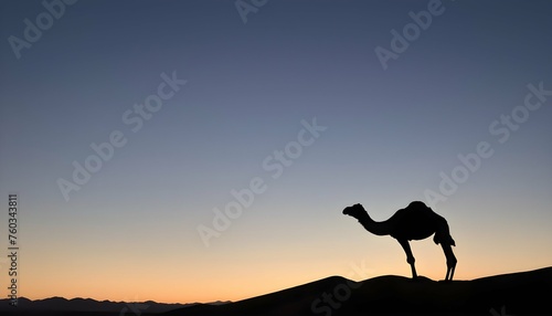 A Camels Hump Silhouetted Against The Desert Sky