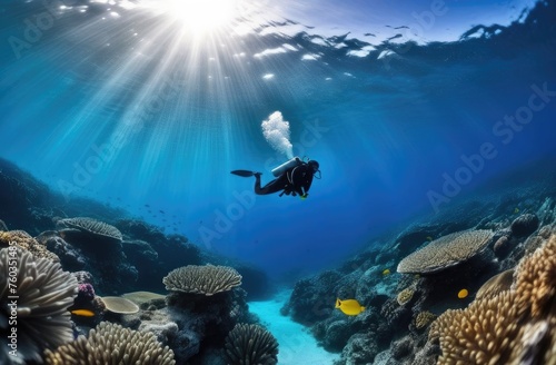 Scuba diver swims underwater in the ocean,coral reef,underwater world