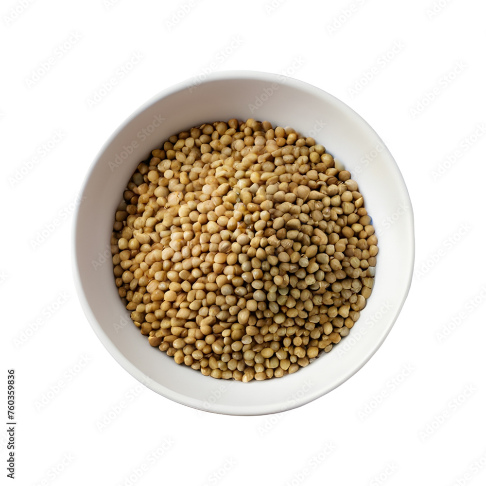 Coriander seeds in a bowl on transparent background Coriander seeds in a bowl on transparent background
