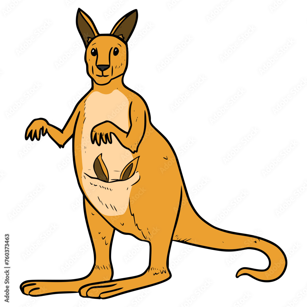 kangaroo with baby illustration hand drawn isolated vector	